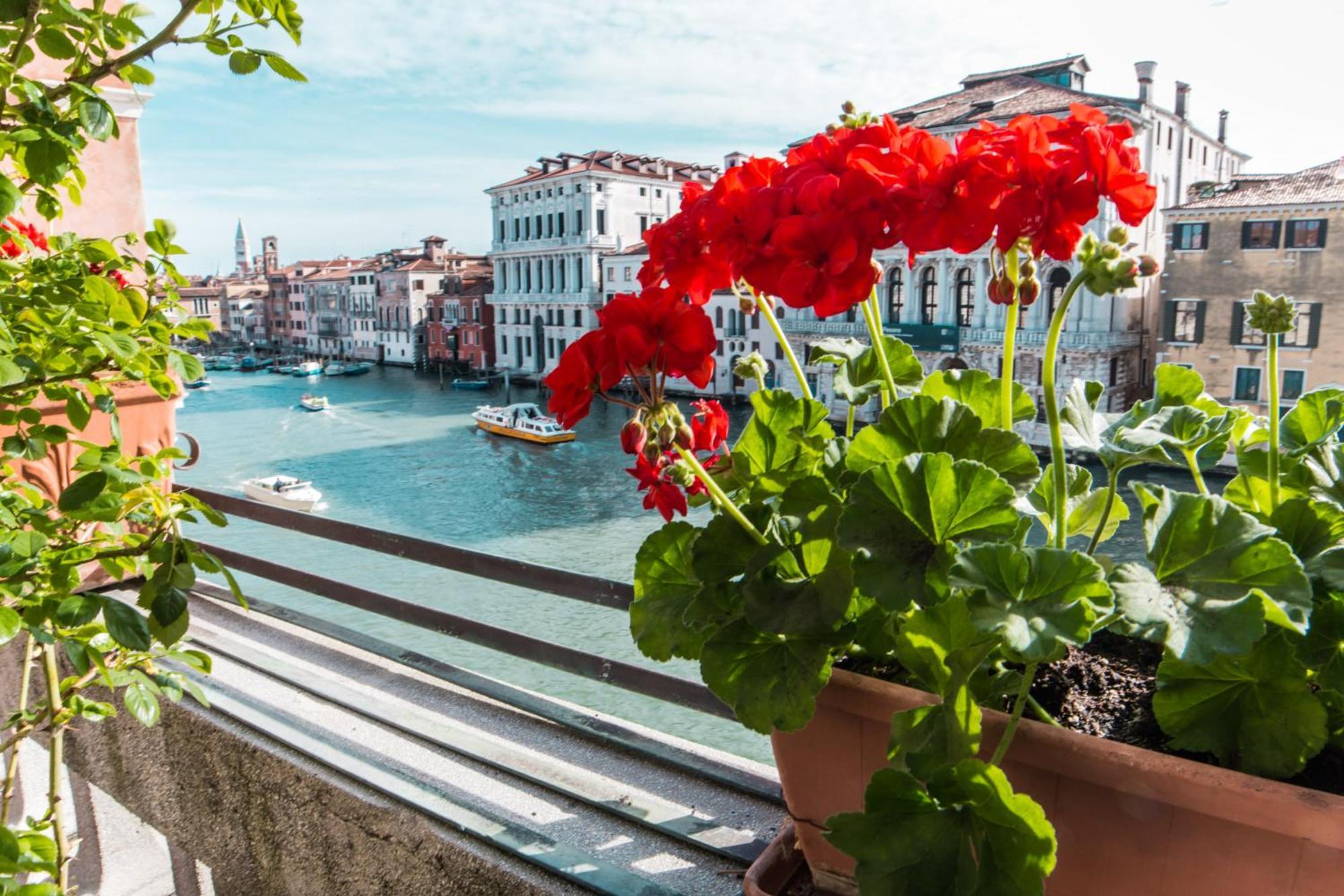 Ca Zulian Venice - Grand Canal Ngoại thất bức ảnh